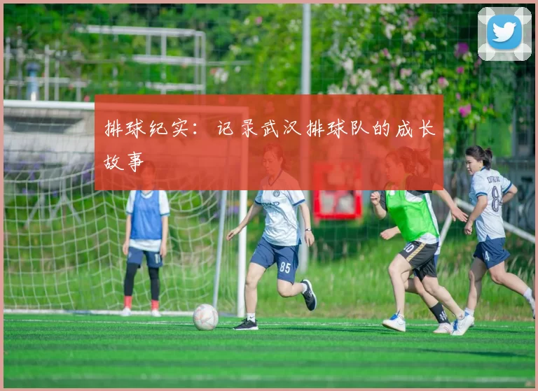 排球纪实：记录武汉排球队的成长故事