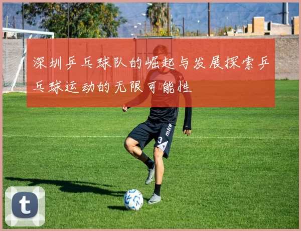 深圳乒乓球队的崛起与发展探索乒乓球运动的无限可能性