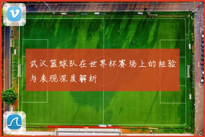 武汉篮球队在世界杯赛场上的经验与表现深度解析